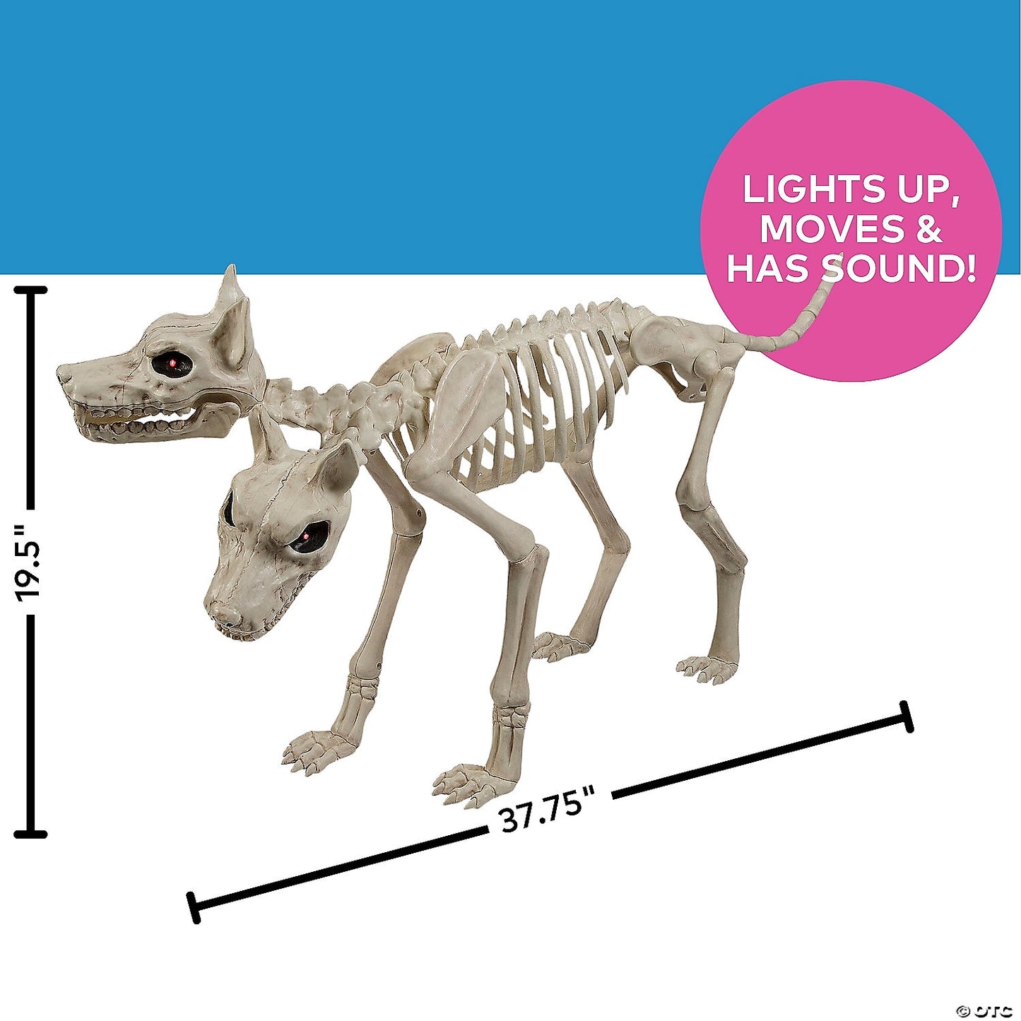 37" Two Headed Doberman Dog Skeleton Animated