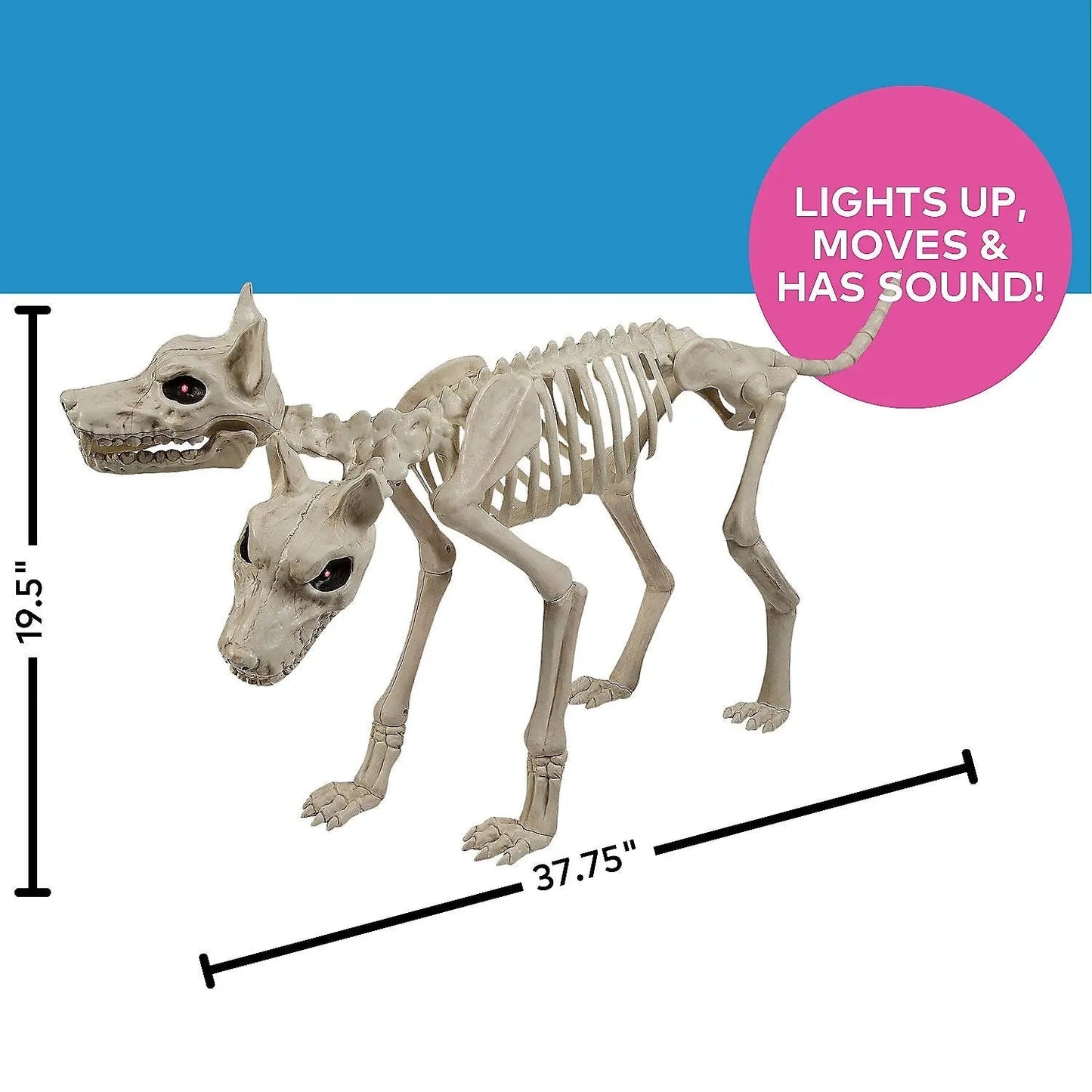 37" Two Headed Doberman Dog Skeleton Animated