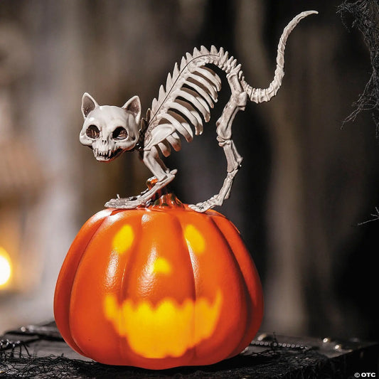17" Cat Skeleton on Talking Pumpkin