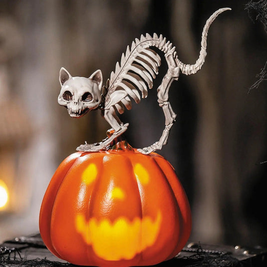 17" Cat Skeleton on Talking Pumpkin