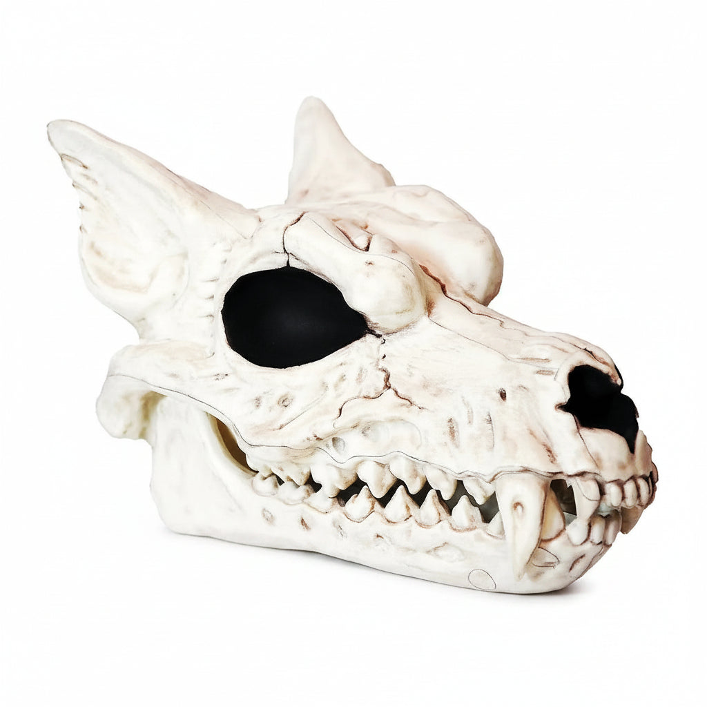 Werewolf Skull Halloween prop decor