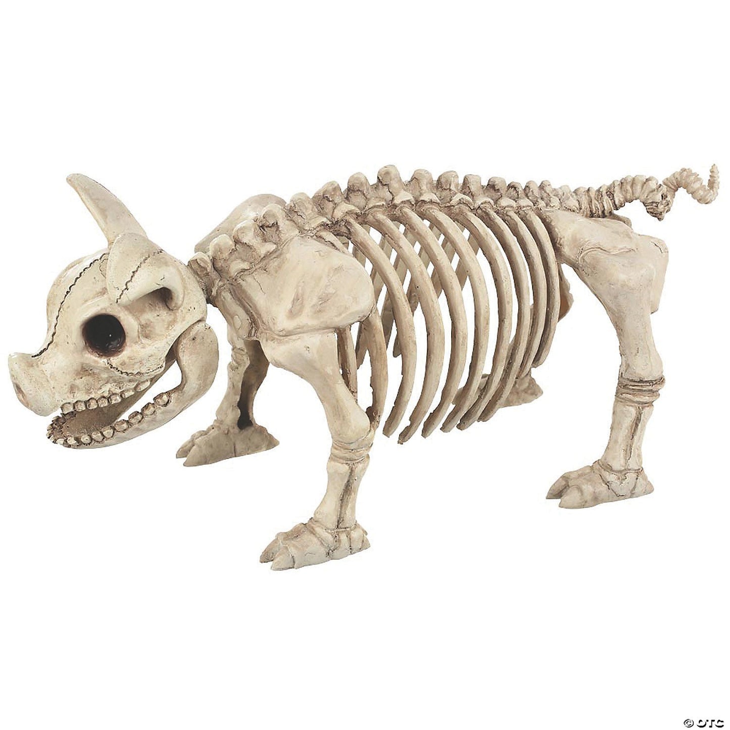 Skeleton Animals Cat Pig Owl Frog Mice 2 Rats Halloween Pet Cemetery Haunt Prop