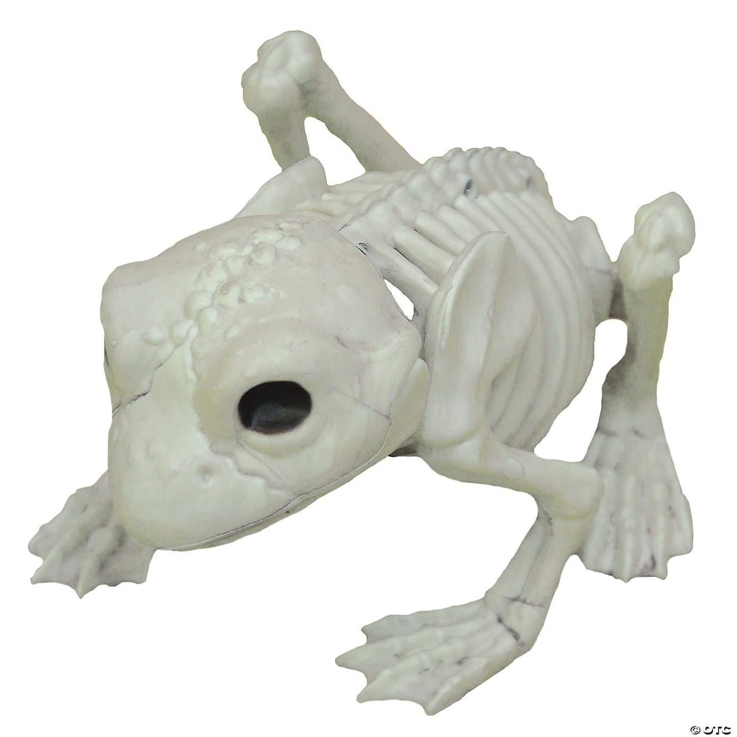 Skeleton Animals Cat Pig Owl Frog Mice 2 Rats Halloween Pet Cemetery Haunt Prop