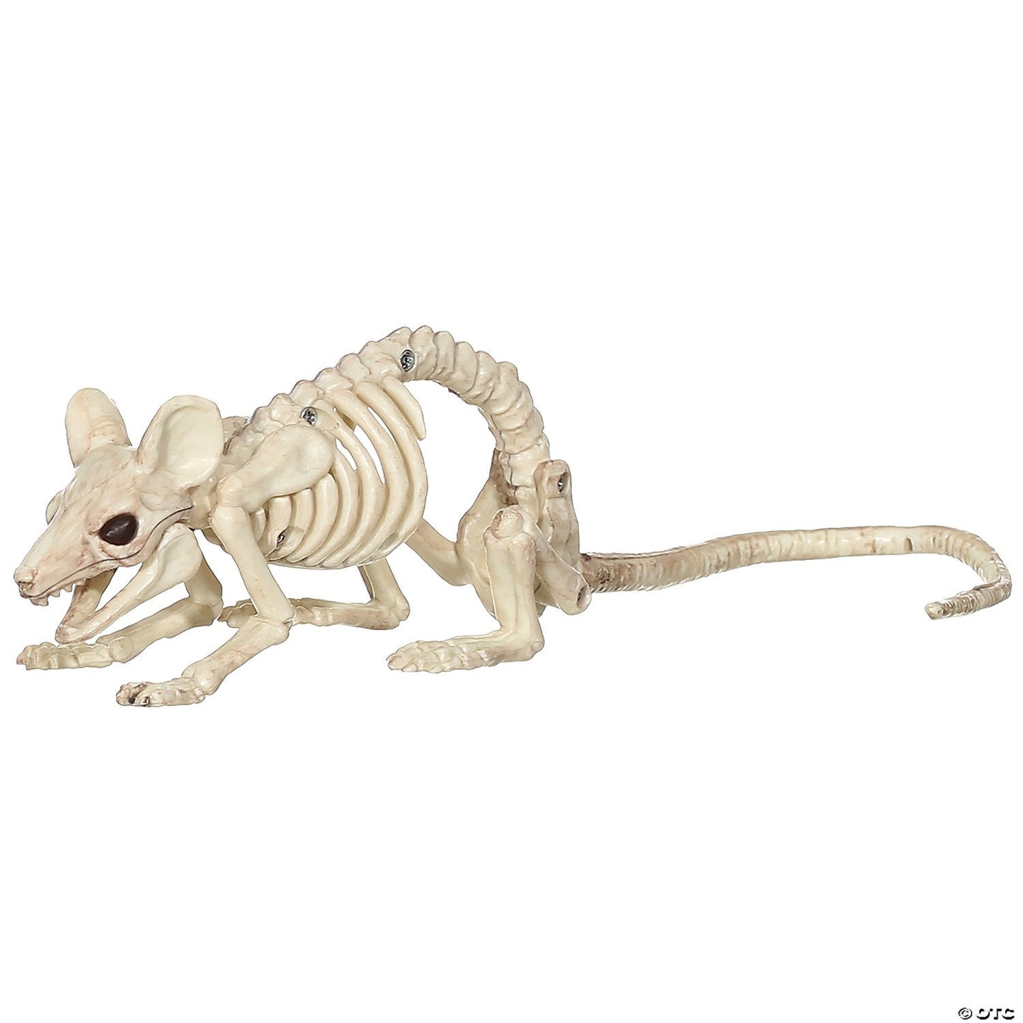 Skeleton Animals Cat Pig Owl Frog Mice 2 Rats Halloween Pet Cemetery Haunt Prop