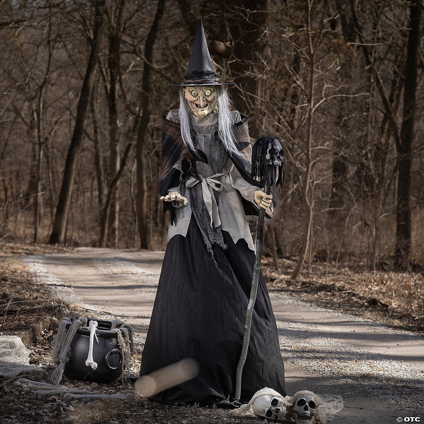 6 Ft Lunging Haggard Witch Crone Talk Animatronic Halloween Haunted Prop Decor