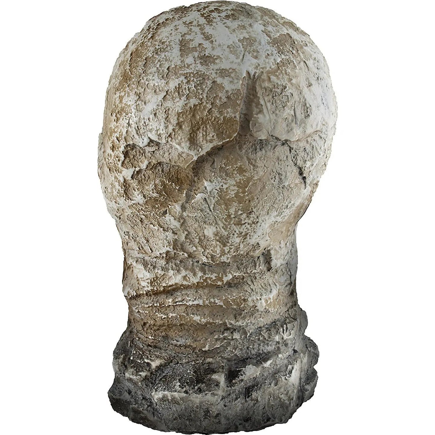 12" Flaming Rotten Skull