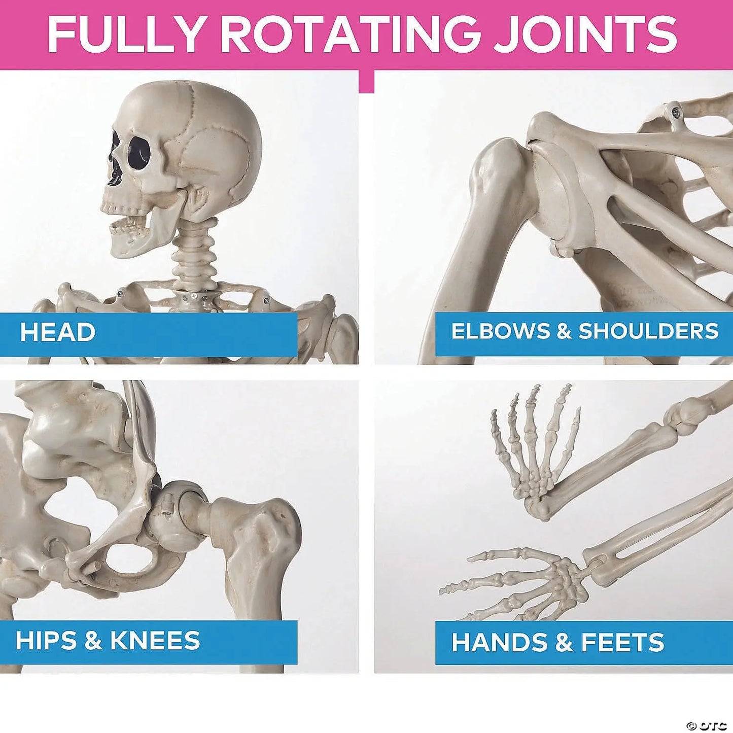 5 Ft Posable Skeleton