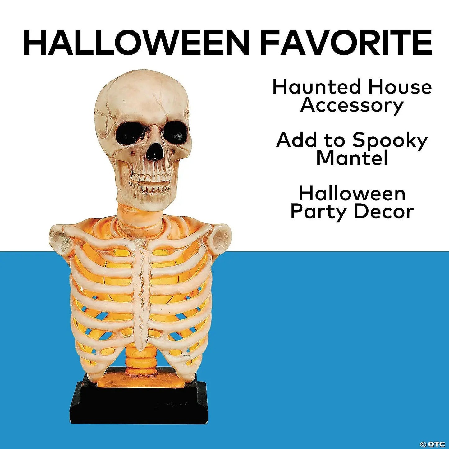 16" Realistic Lighted Skeleton Bust on Stand