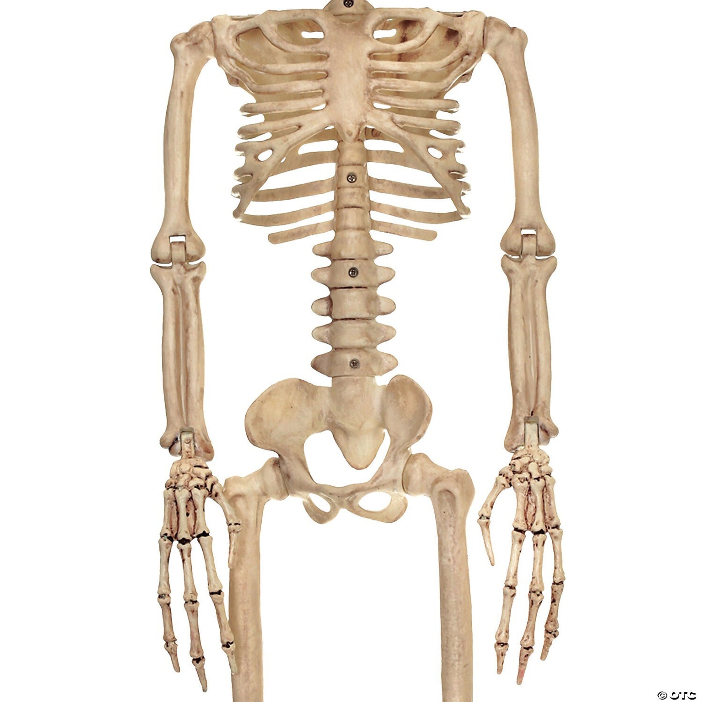 37" Alien Skeleton UFO Corpse Halloween Outdoor Decoration Haunted Prop Yard