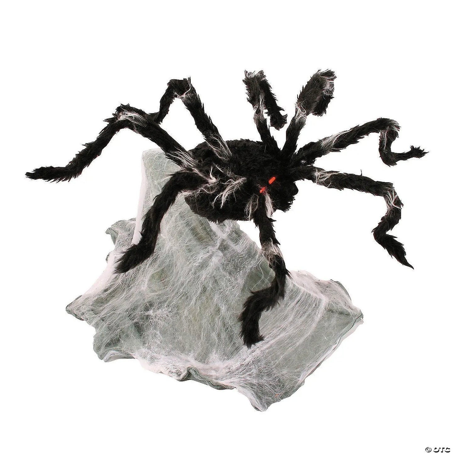 3 Ft Giant Jumping Spider