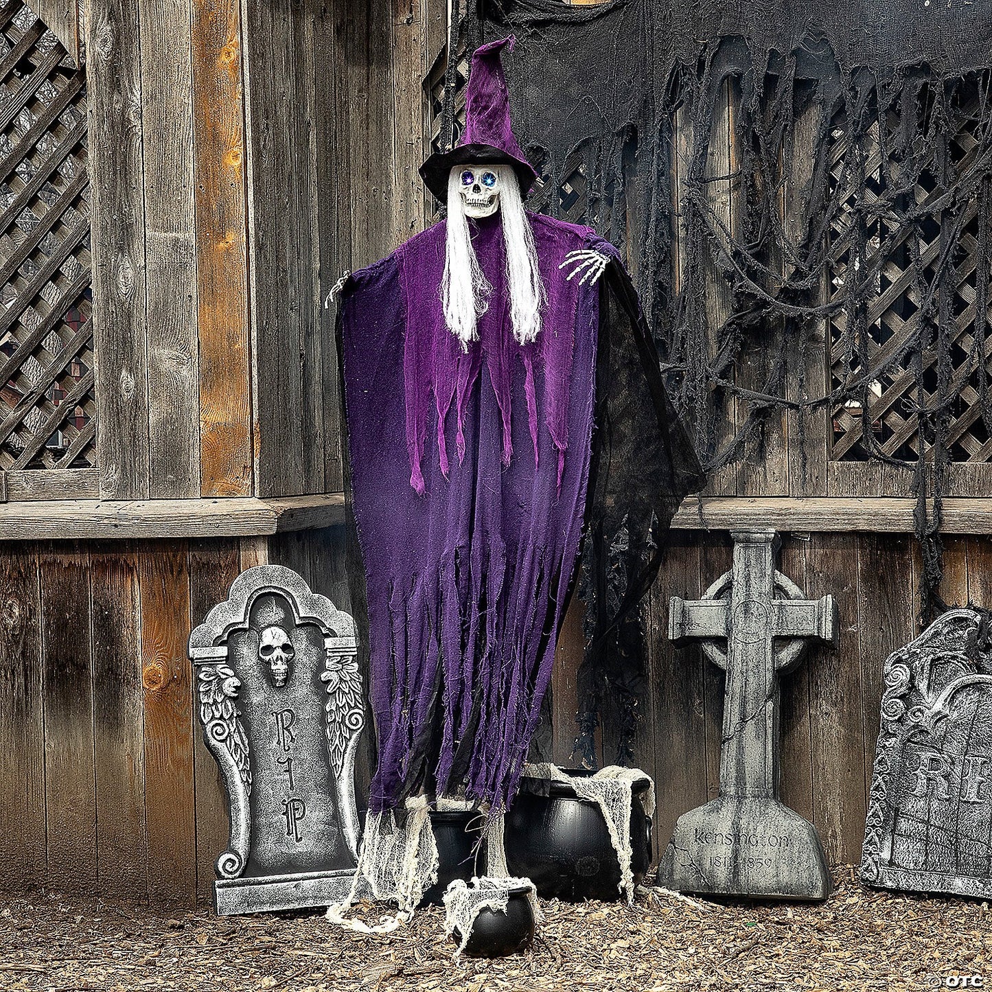 Life Size Animated Talking Skeleton Witch Halloween Decor Outdoor Haunted Prop