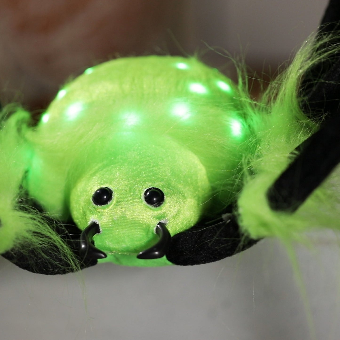 GIANT! 50" Lighted Green & Black Spider Halloween Spirit Haunted Decor Prop 2025