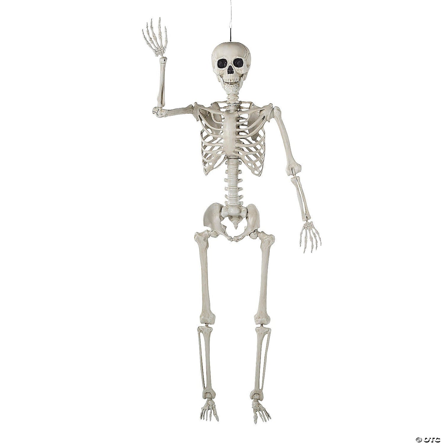 Life Size 5 Ft Posable Skeleton Halloween Outdoor Haunted Decoration Party Prop