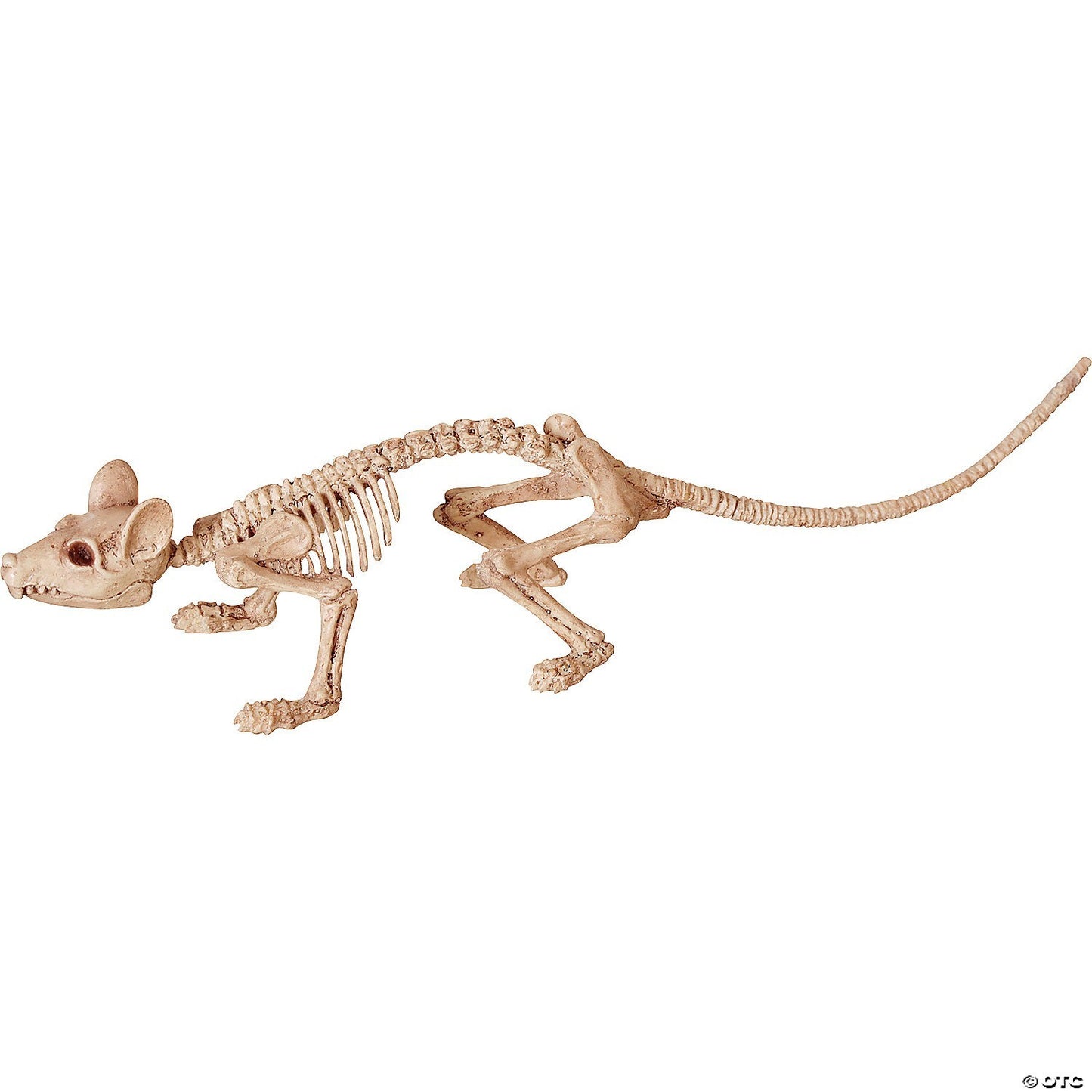 Skeleton Animals Cat Pig Owl Frog Mice 2 Rats Halloween Pet Cemetery Haunt Prop