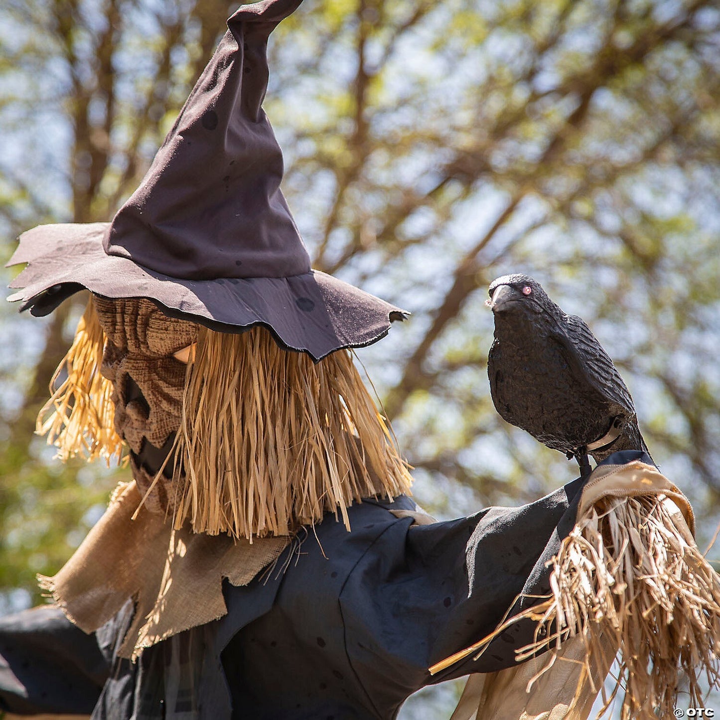 See Video! LifeSize Staked Scarecrow Raven Animated Outdoor Halloween Haunt Prop