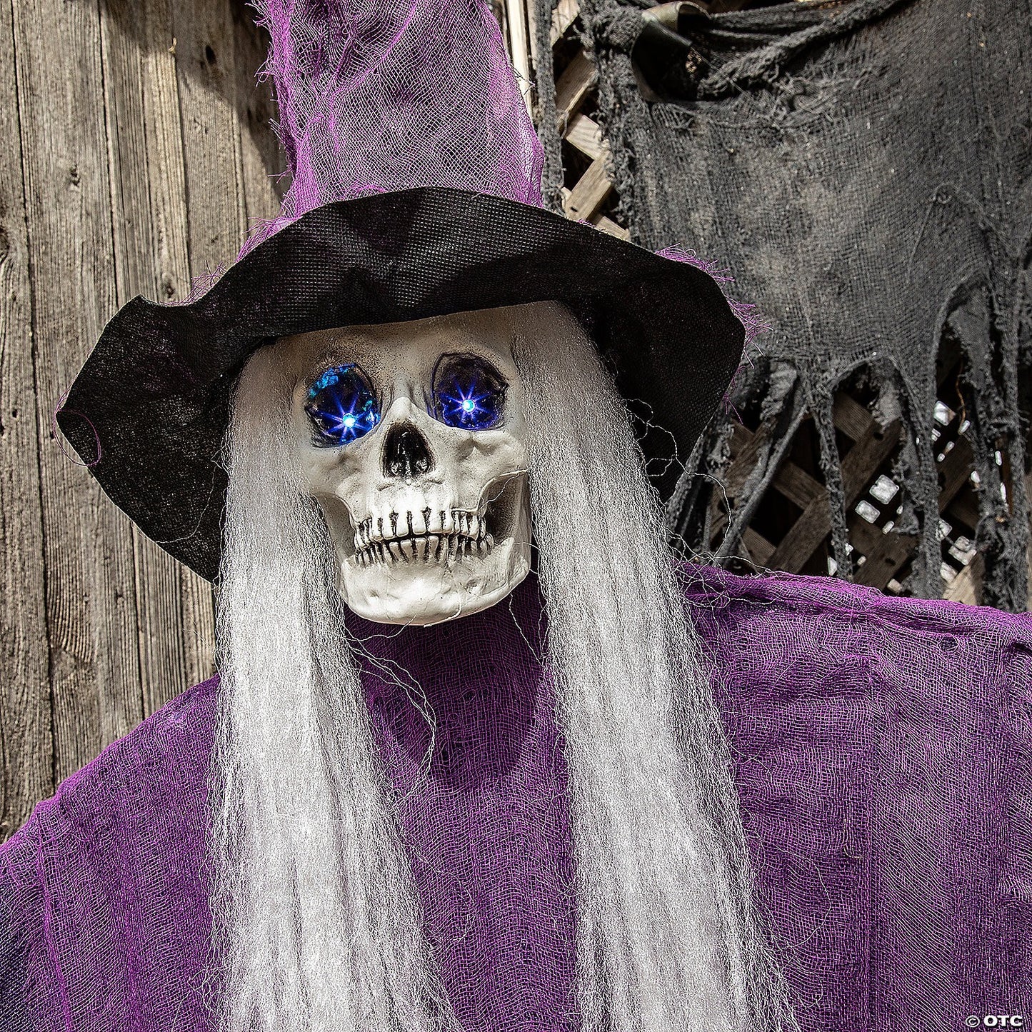Life Size Animated Talking Skeleton Witch Halloween Decor Outdoor Haunted Prop