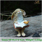 Small rabbit figurine reading a book with a bird tabletop or garden decoration