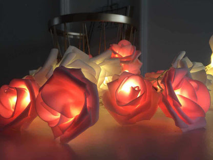 9 Ft Valentines Day Pink & White Roses String Lights