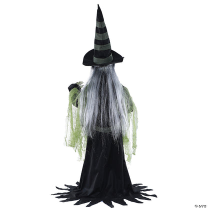 3' Animated Fortune Teller Witch