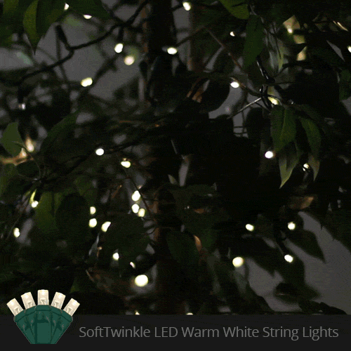 Warm white SoftTwinkle LED Christmas lights demonstrating a gentle shimmering twinkle effect