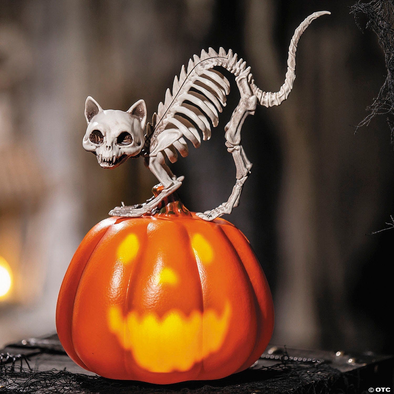 Cat Skeleton Talking Jack Pumpkin Animated Halloween Decor Haunt Prop Spirit