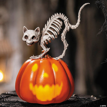 Cat Skeleton Talking Jack Pumpkin Animated Halloween Decor Haunt Prop Spirit