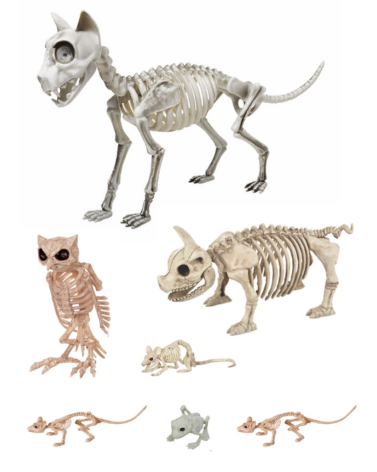 Skeleton Animals Cat Pig Owl Frog Mice 2 Rats Halloween Pet Cemetery Haunt Prop
