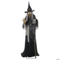 6 Ft Lunging Haggard Witch Crone Talk Animatronic Halloween Haunted Prop Decor