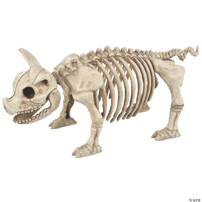Skeleton Animals Cat Pig Owl Frog Mice 2 Rats Halloween Pet Cemetery Haunt Prop