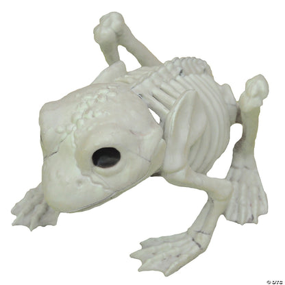 Skeleton Animals Cat Pig Owl Frog Mice 2 Rats Halloween Pet Cemetery Haunt Prop