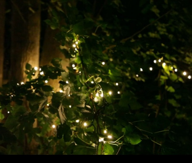 Soft Twinkle TM Animated Christmas Lights String Wide Angle Warm White LED 17'