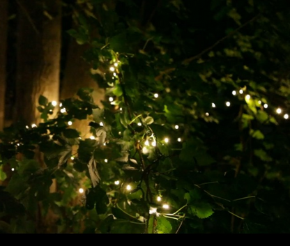 Soft Twinkle TM Animated Christmas Lights String Wide Angle Warm White LED 17'