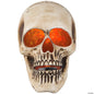 10" Lightshow Flaming Skull Projection Light Halloween Outdoor Decor Haunt Prop