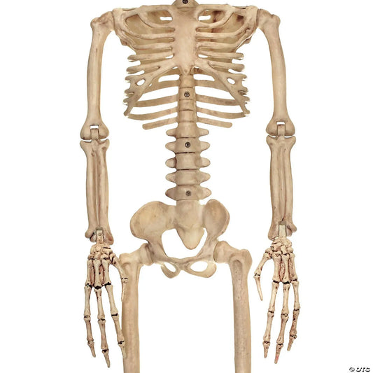 37" Alien Skeleton