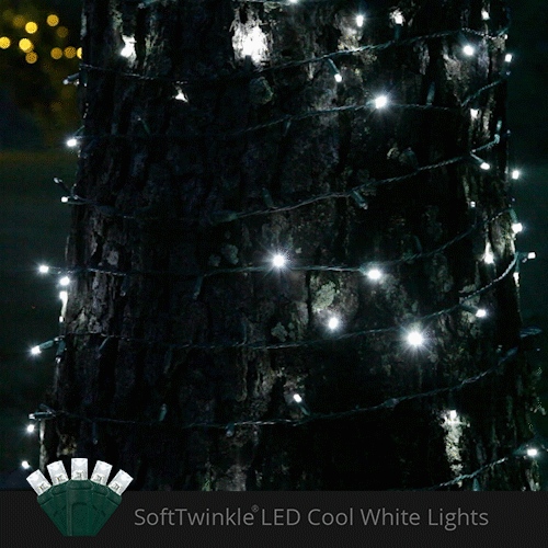 Soft Twinkle TM Animated Christmas Lights String Wide Angle Cool White LED 17'