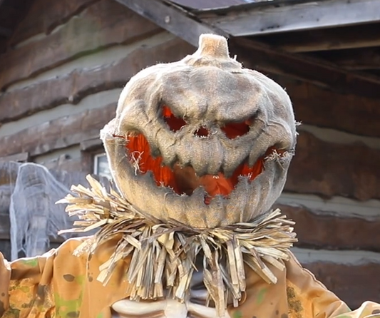 Life Size Animated Pop Up Pumpkin Scarecrow Halloween Decor Outdoor Haunted Prop