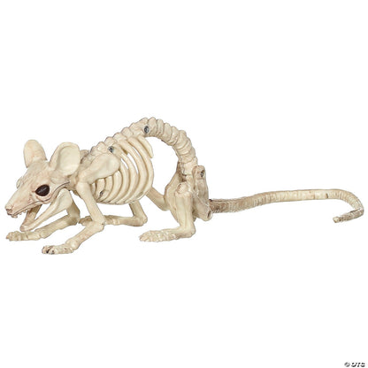 Skeleton Animals Cat Pig Owl Frog Mice 2 Rats Halloween Pet Cemetery Haunt Prop