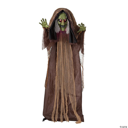 LifeSize Hunchback Witch Animated Halloween Decor Outdoor Haunt Yard Porch Prop