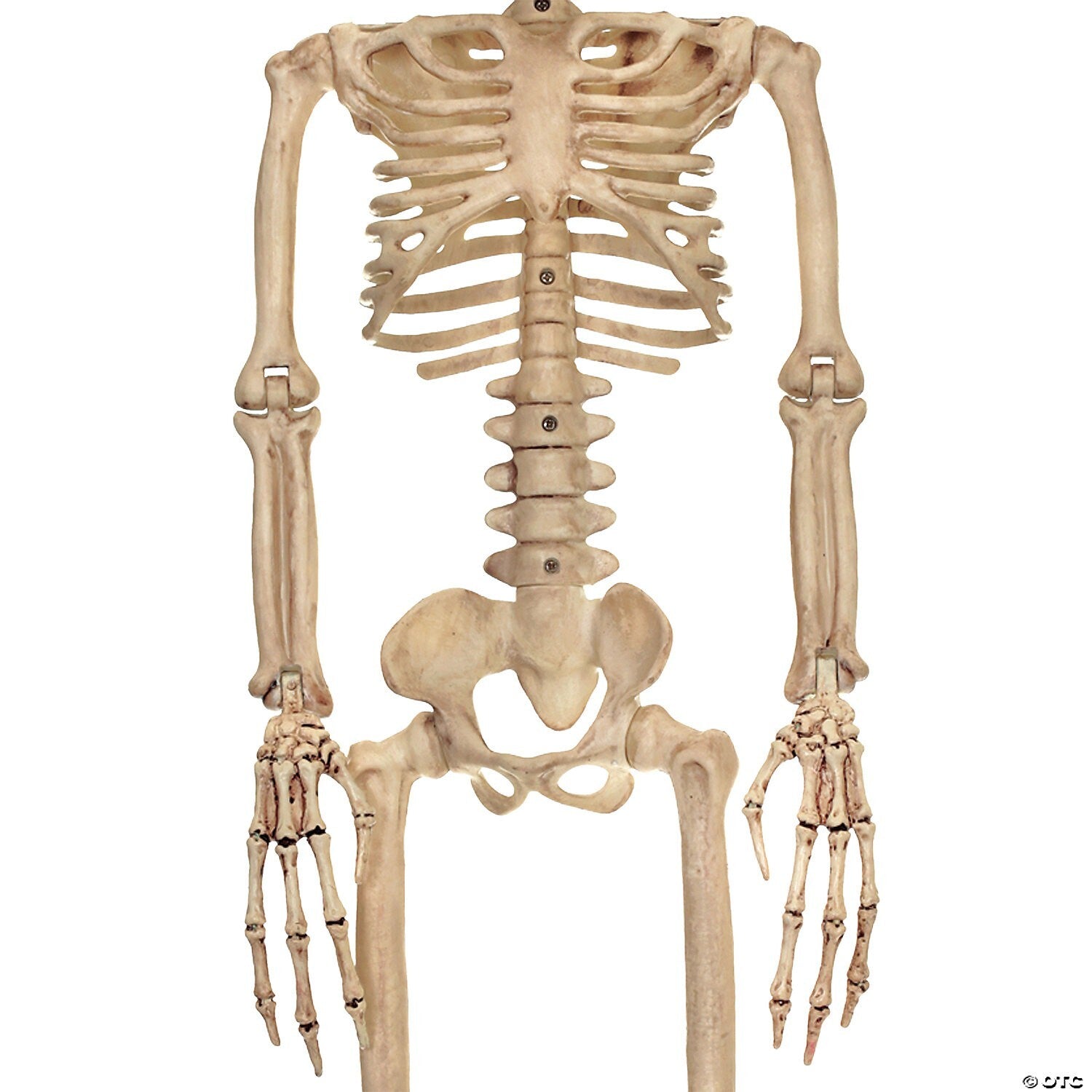 37" Alien Skeleton UFO Corpse Halloween Outdoor Decoration Haunted Prop Yard