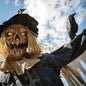 See Video! LifeSize Staked Scarecrow Raven Animated Outdoor Halloween Haunt Prop