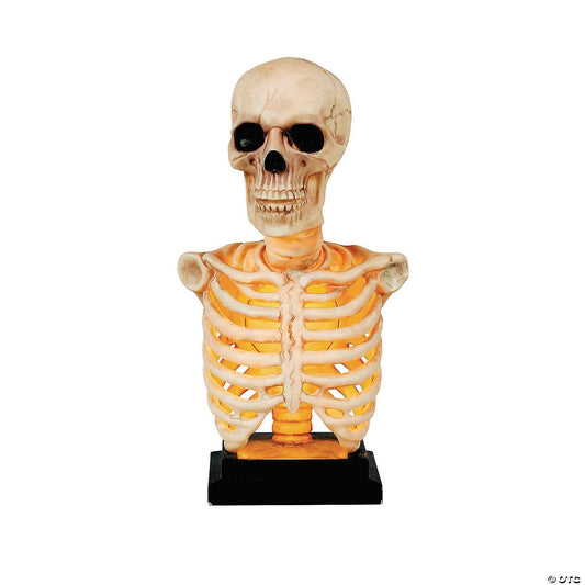Realistic Lighted Skeleton Bust on Stand Halloween Haunted Lab Decoration Prop