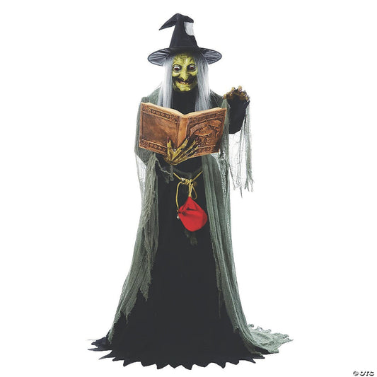 LifeSize Animatronic Spell Speaking Wicked Witch Book Halloween Decor Haunt Prop