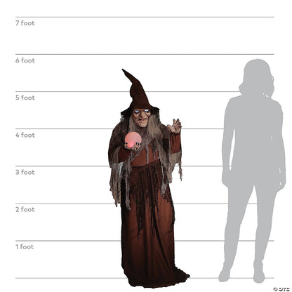 Life Size Soothsayer Witch Fortune Crystal Ball Animated Halloween Haunted Prop