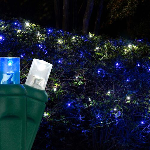 100 LED 5mm blue and white Christmas net lights on green wire in 10 colors