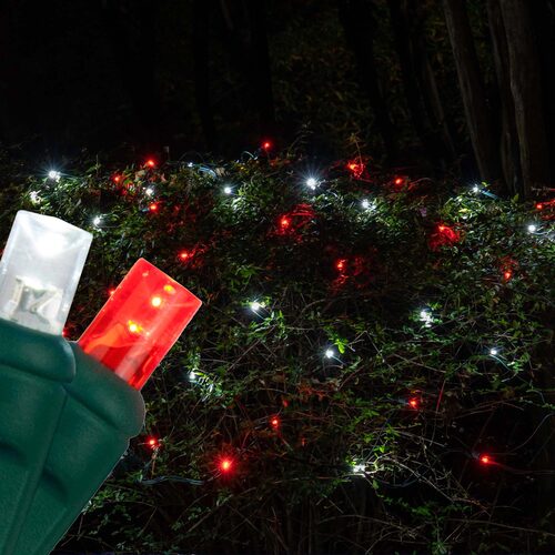 100 LED 5mm red and white Christmas net lights on green wire in 10 colors