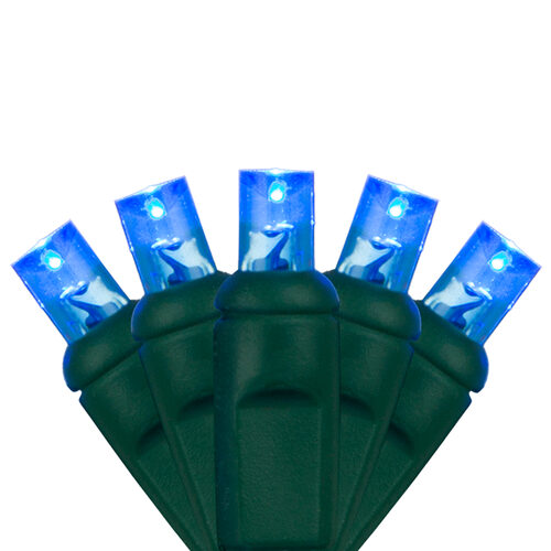 Close-up of blue 5mm wide angle LED Christmas lights on green wire