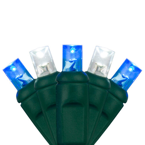 Close-up of blue and white 5mm wide angle LED Christmas lights on green wire