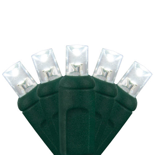 Close-up of cool white 5mm wide angle LED Christmas lights on green wire