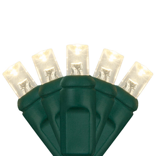 Close-up of warm white 5mm wide angle LED Christmas lights on green wire