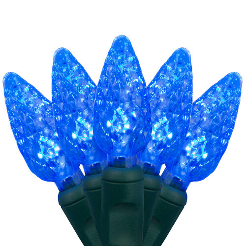 C6 led blue Christmas lights on green wire